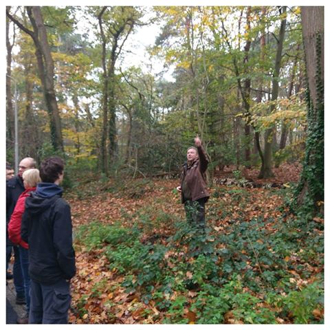 Image may contain: 1 person, standing, tree, plant, outdoor and nature