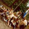 Arcen24