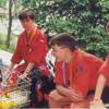 liberec2000-11
