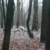 2001-12-22 - Amersfoort - Uitzicht op een winters landschap vanuit het stafhok