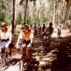 verkennerszk2001-07
