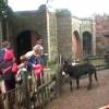 zoo-05