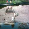 zoo-06