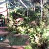 zoo-08