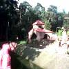 zoo-12
