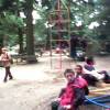 zoo-15