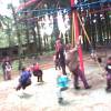 zoo-16
