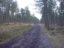2003-03-01-tocht-welpen