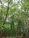 2003-09-06 = Amersfoort - Overvliegen 24