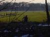 2004-02-28 = Amersfoort - PW 27 2004-02-28 = Amersfoort - PW 27