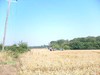 DSCF0221
