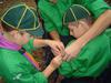 DSC00351 DSC00351