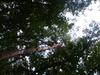 DSCF0636