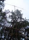DSC00477