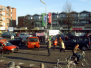 2005-01-15-azie-welpen