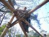 2005-04-23 = Amersfoort - Pionieren (9)