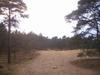 20060121 Leusden - Hike (15)
