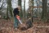 20070127 Amersfoort - Bosbouw (1)