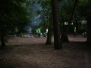 2007-06-09-primitief-koken-welpen