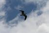 IMG_4897 IMG_4897