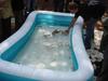 DSC00319