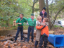 2008-10-18-fotostrip-nest-grijs-welpen