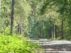 Verkennerkamp 2010 (172) [800x600]