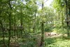 Verkennerkamp 2010 (355) [800x600]