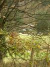 photospel 1 (21)