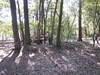 Hindernisbaan sponsoractie - 11