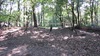 Hindernisbaan sponsoractie - 53