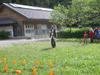 wiltzwelpen (104)