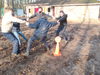 Balspelen