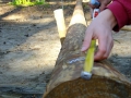 DSCF1521 DSCF1521