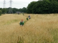 img_20150714_110022