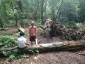 img_20150717_115346