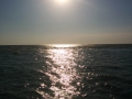 IMG_20140722_193058