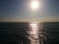 IMG_20140722_193103