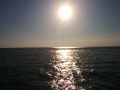 IMG_20140722_193108