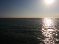 IMG_20140722_193111
