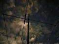 IMG-20231021-WA0008