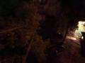 IMG-20231021-WA0012