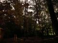 IMG-20231021-WA0019