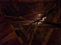 IMG-20231021-WA0020