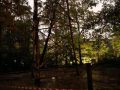 IMG-20231021-WA0021