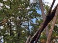 IMG_20231014_113425
