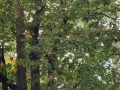 IMG_20231014_113430