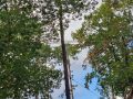 IMG_20231014_113435
