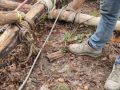 IMG_20231014_151650