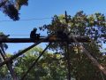 IMG_20231014_165306